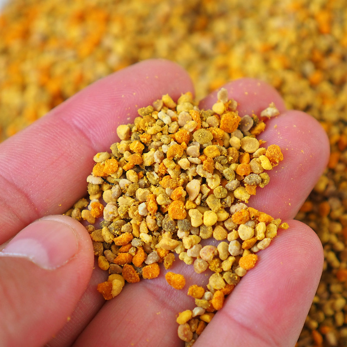 Mannavita sušen večcvetni cvetni prah • 200 g