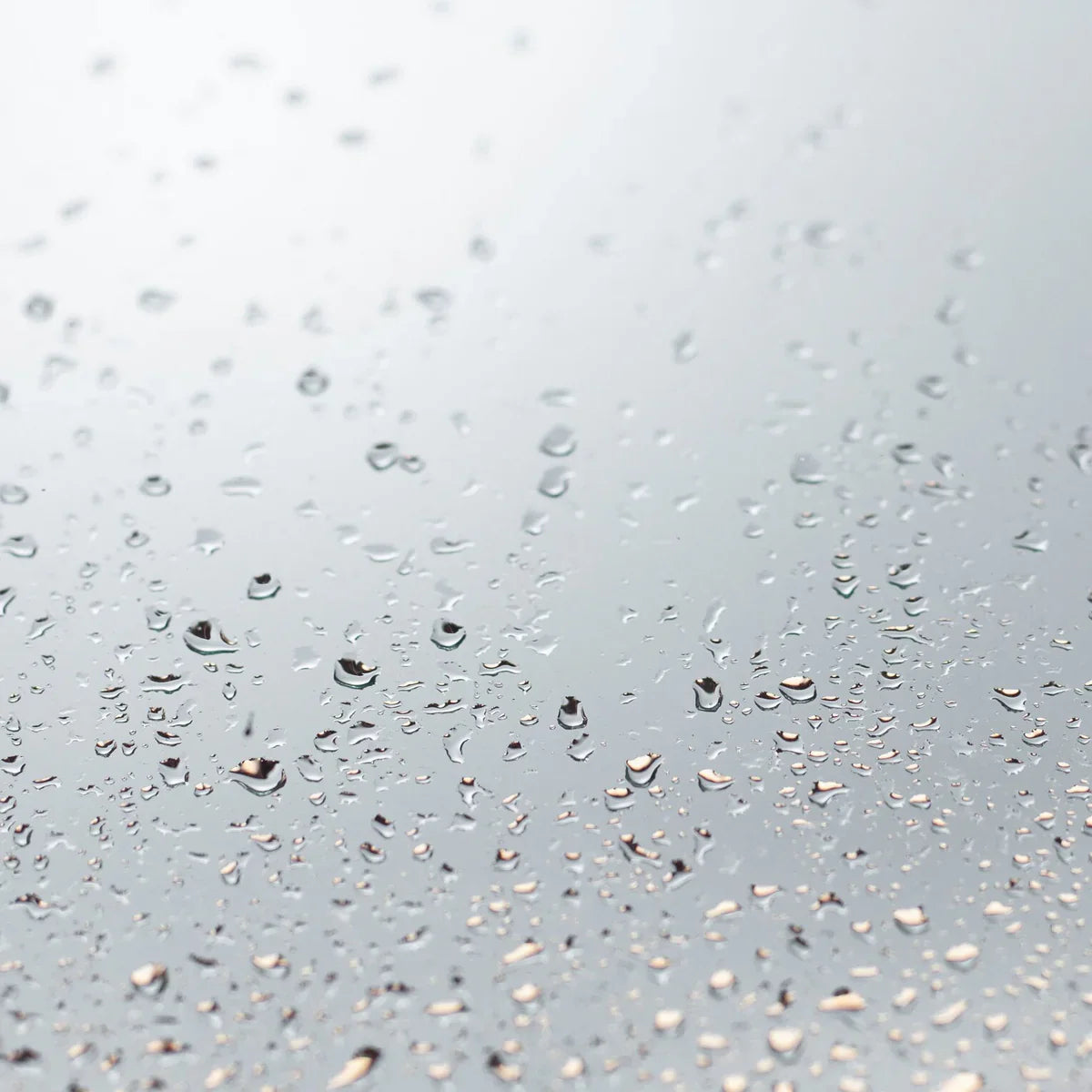 Mannavita Colloidal Silver 20 PPM • 200 ml - Mannavita