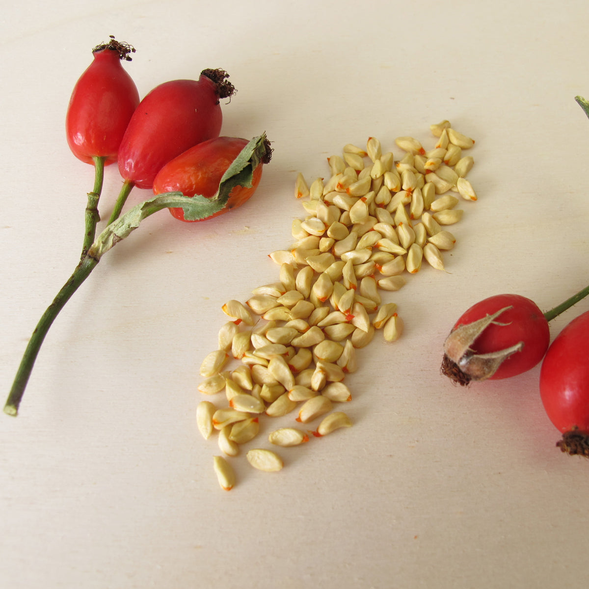 Mannavita madžarsko hladno stiskano olje šipkovih semen • 40 ml