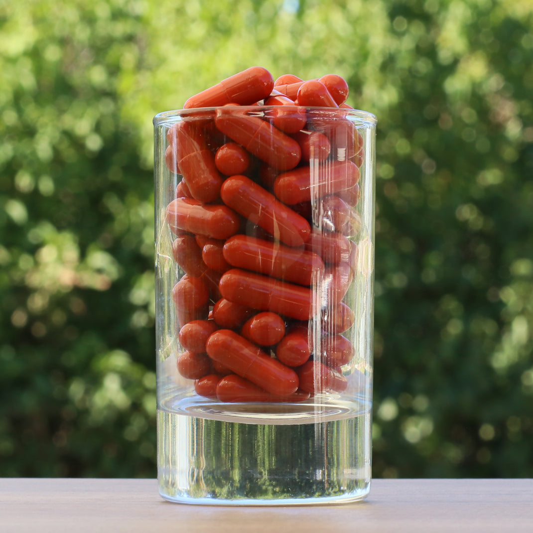 FEMNOX Matični mleček + Inozitol + Folna kislina + B12 kompleks • 90 kapsul