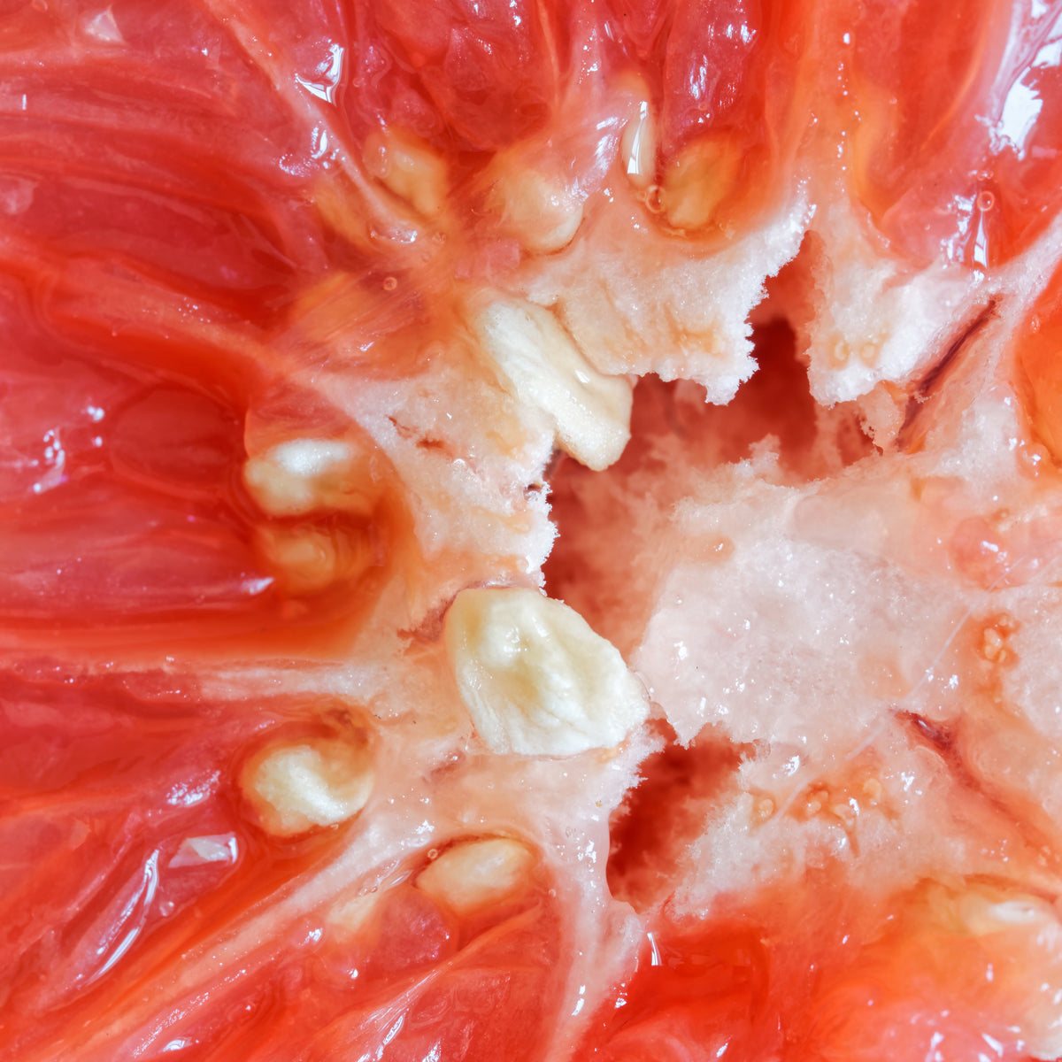 Mannavita kapljice izvlečka iz semen grenivke • 100 ml