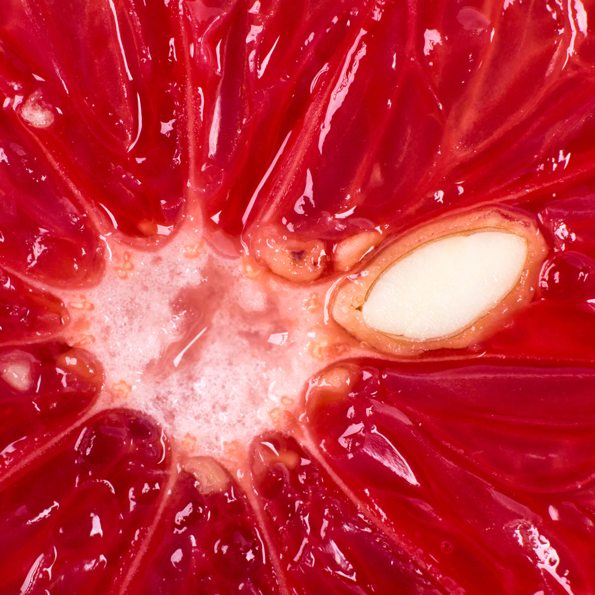 Mannavita kapljice izvlečka iz semen grenivke • 100 ml