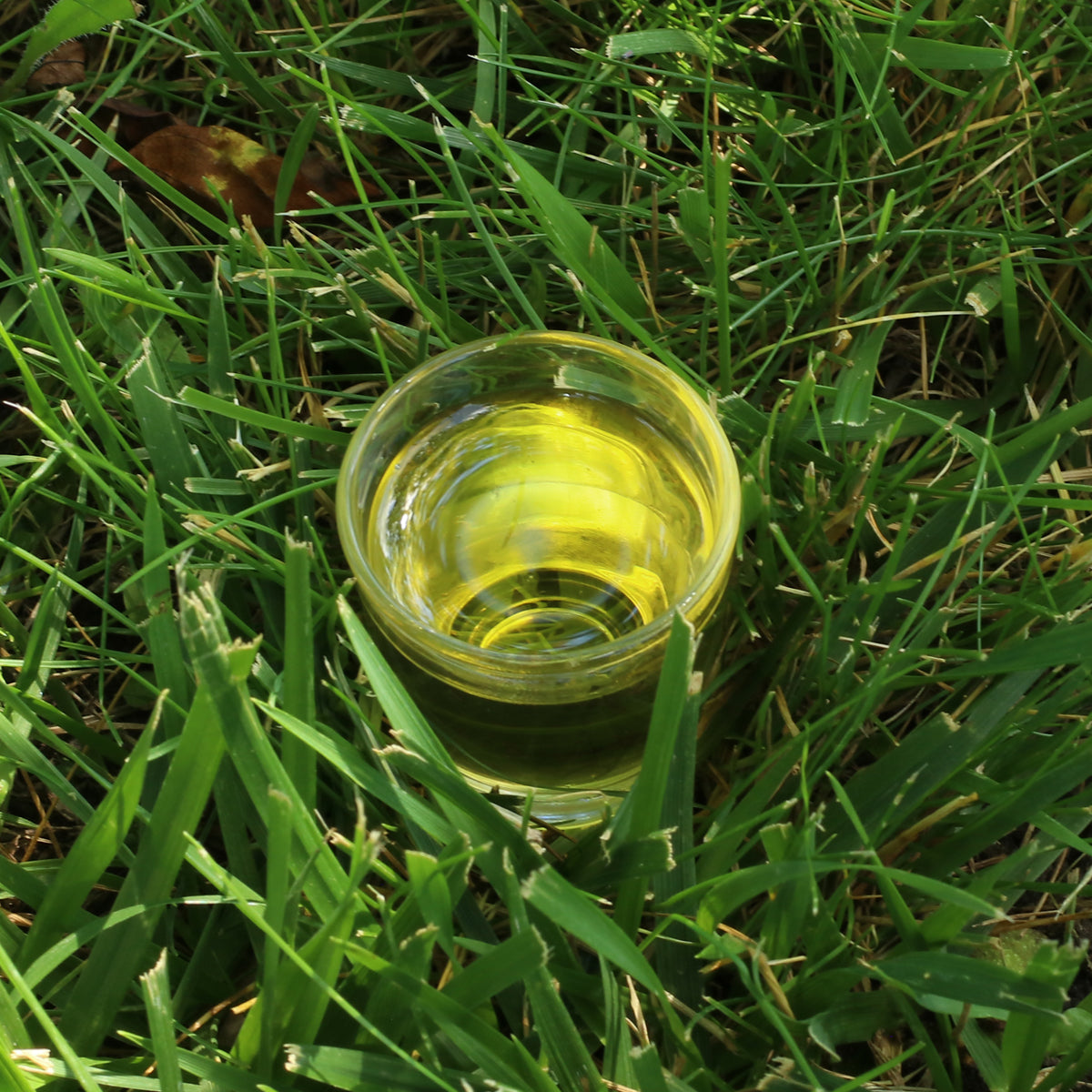 Mannavita madžarsko hladno stiskano olje iz makovih semen • 250 ml