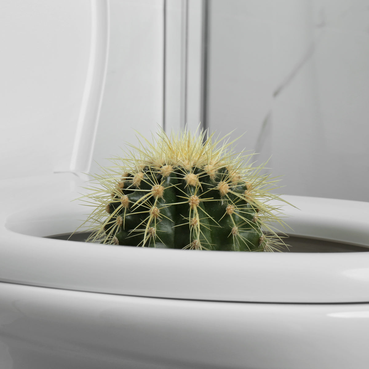 Proctan krema za zlato žilo • 50 ml