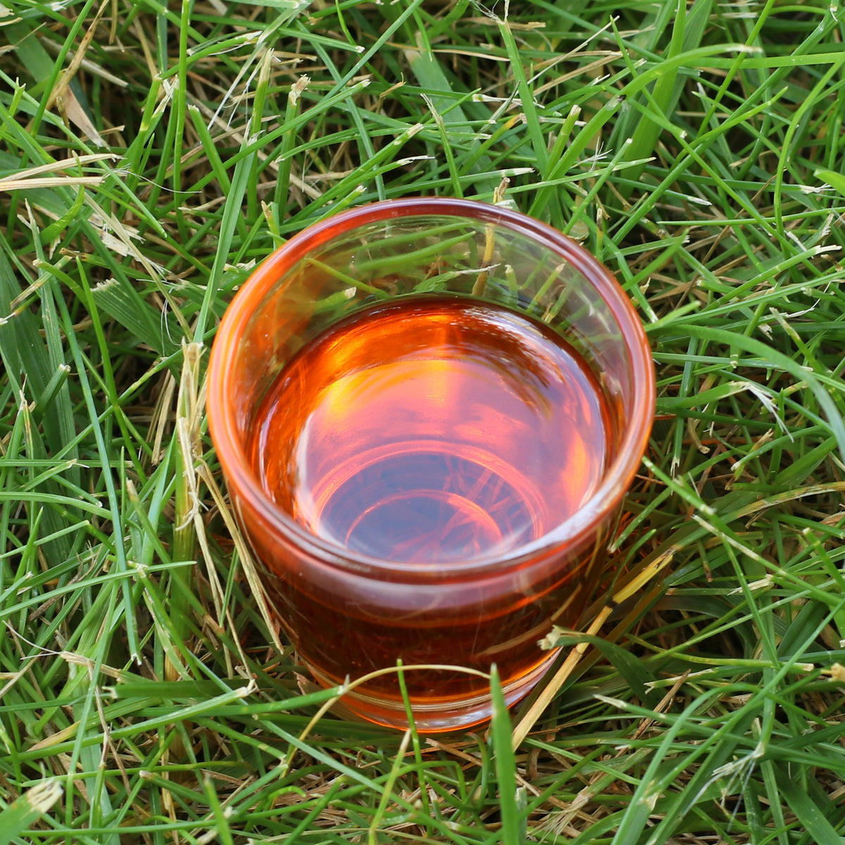 Mannavita madžarsko hladno stiskano olje iz semen rakitovca • 40 ml