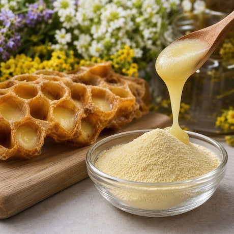 Mannavita Premium Royal Jelly How 2.5% 10-HDA Enhances Health Benefits