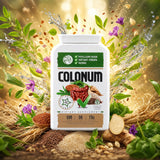 COLONUM • Kapsule za čiščenje črevesja in obnovo prebavil • 100 kapsul