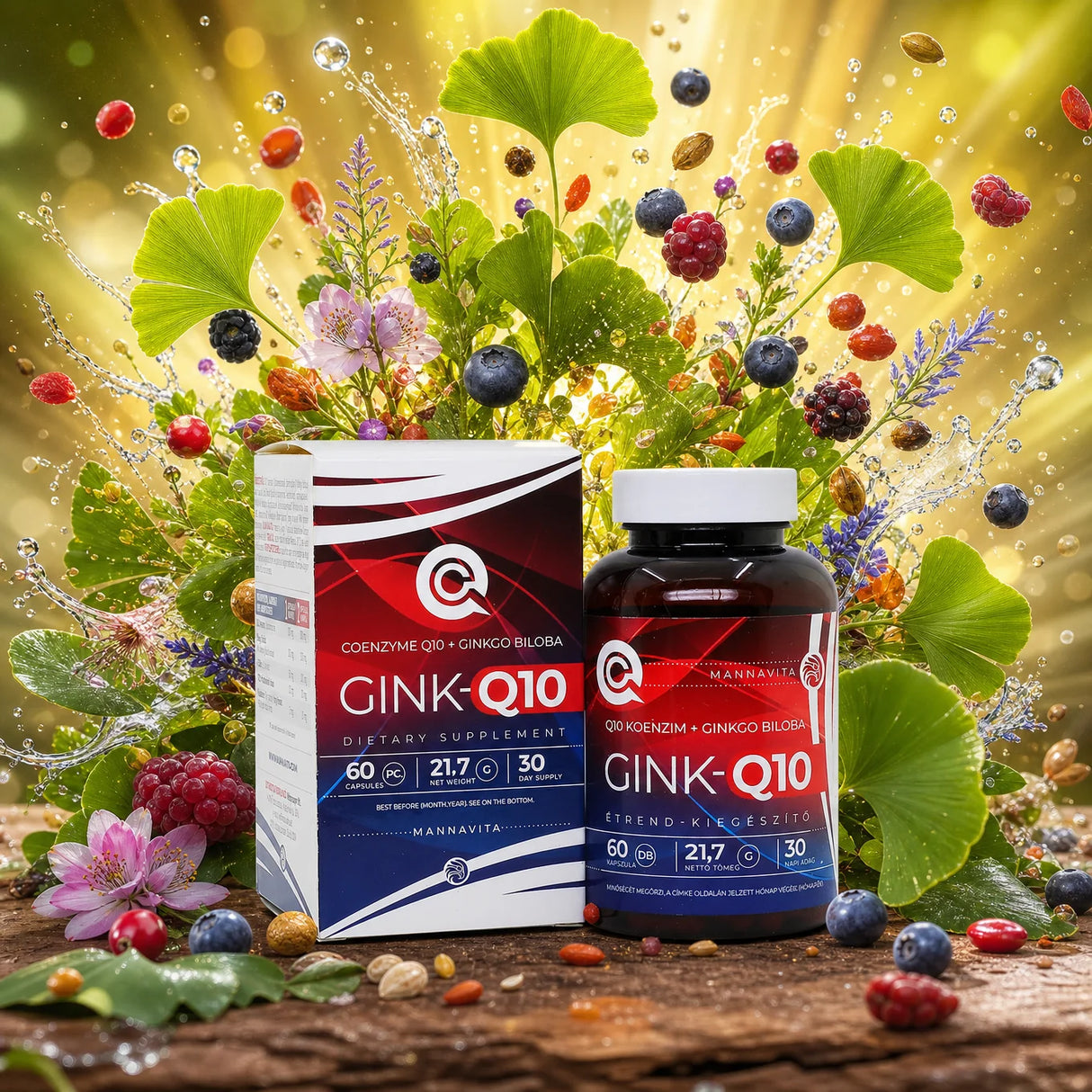 GINK-Q10 • Kompleks + Koencim q10 + Ginkgo Biloba • 60 kapsul