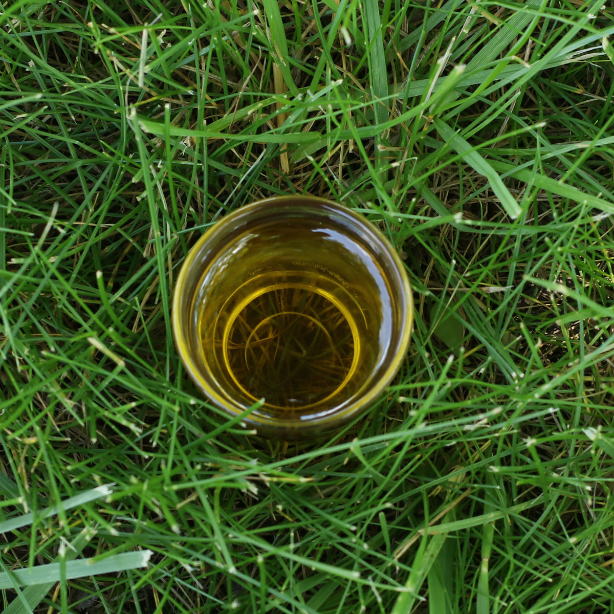 Mannavita madžarsko hladno stiskano grozdno olje • 250 ml