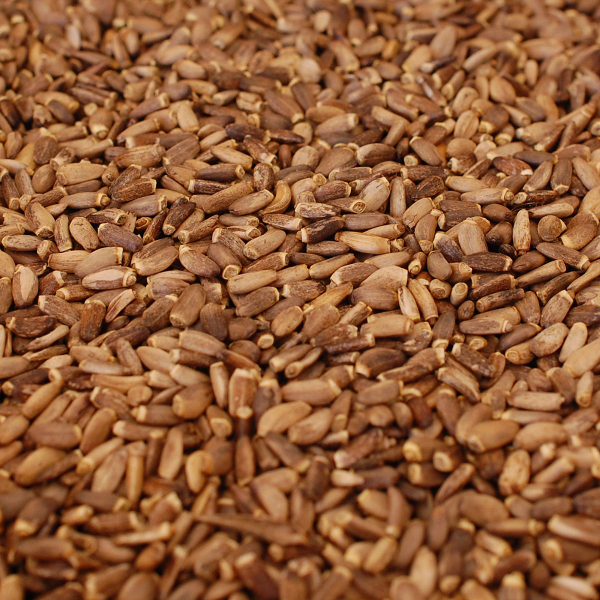 Mannavita madžarsko hladno stiskano olje semen pegastega badlja • 250 ml 