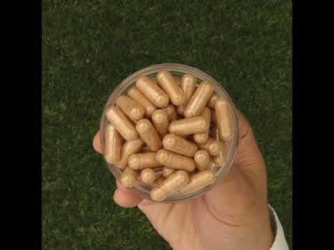 GINK-Q10 • Kompleks + Koencim q10 + Ginkgo Biloba • 60 kapsul