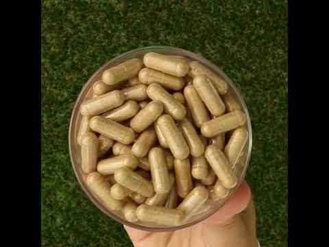 Ashwarax za lajšanje tesnobe, paničnih napadov in nespečnosti • 90 kapsul