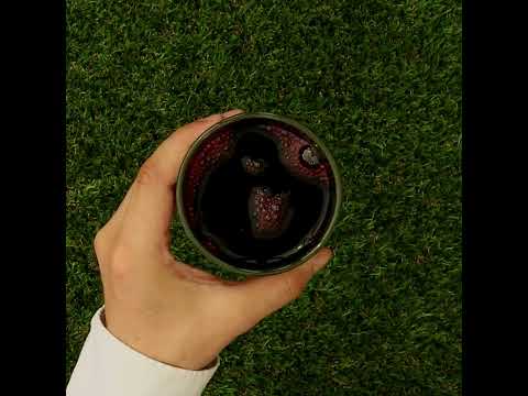 Mannavita Brusnica, 100% čisti stisnjeni sok • 500 ml