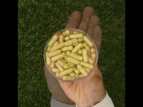 ENZIMA+ kompleks prebavnih encimov z Betain HCL • 90 kapsul