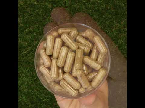 HEPADEX kompleks za regeneracijo jeter in izboljšanje zdravja jeter • 60 kapsul