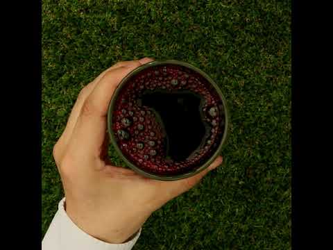 Mannavita Borovnica, 100% čisti stisnjeni sok • 500 ml