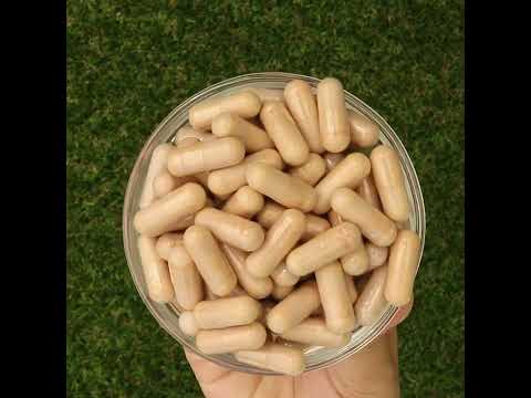 PrOcum kompleks za krepitev vida • 60 kapsul