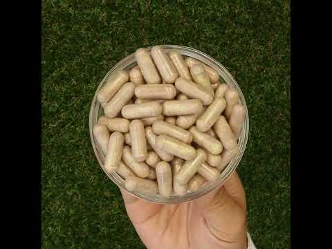 Mannavita Vitamin C kompleks • 250 mg bioaktivnega • 60 kapsul