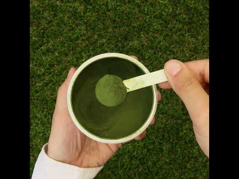 Mannavita surov sok Pšenične Trave v prahu • brez glutena • 140g