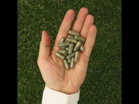 IMUNEX kompleks alg • s 5 algami • 180 kapsul