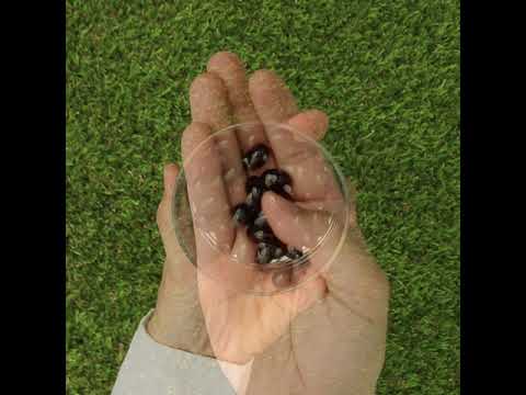 MegaKRILL 1500 mg olje krila + ribje olje • 90 kapsul