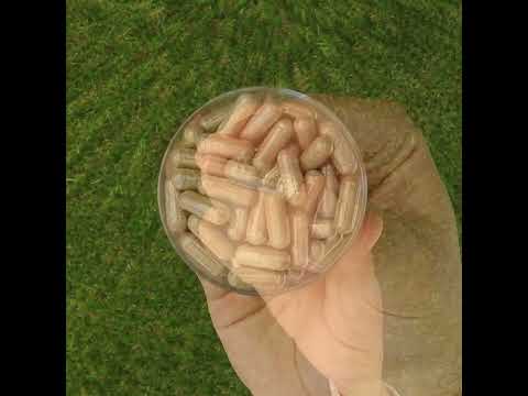 CARDIO Balance kompleks za krvni tlak • 120 kapsul