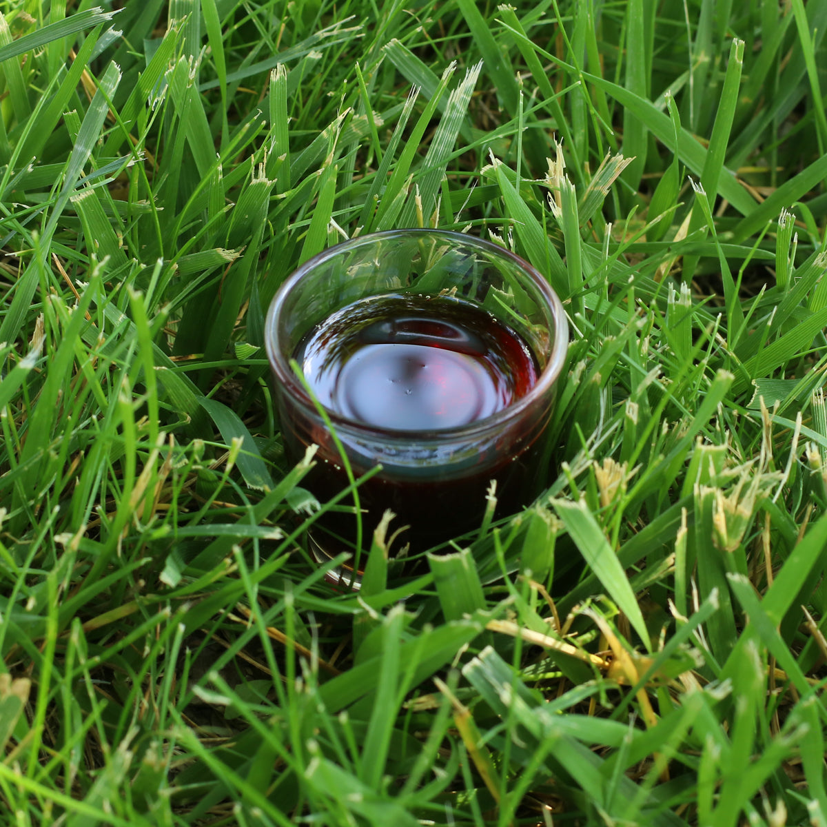 Mannavita madžarsko hladno stiskano bučno olje • 250 ml