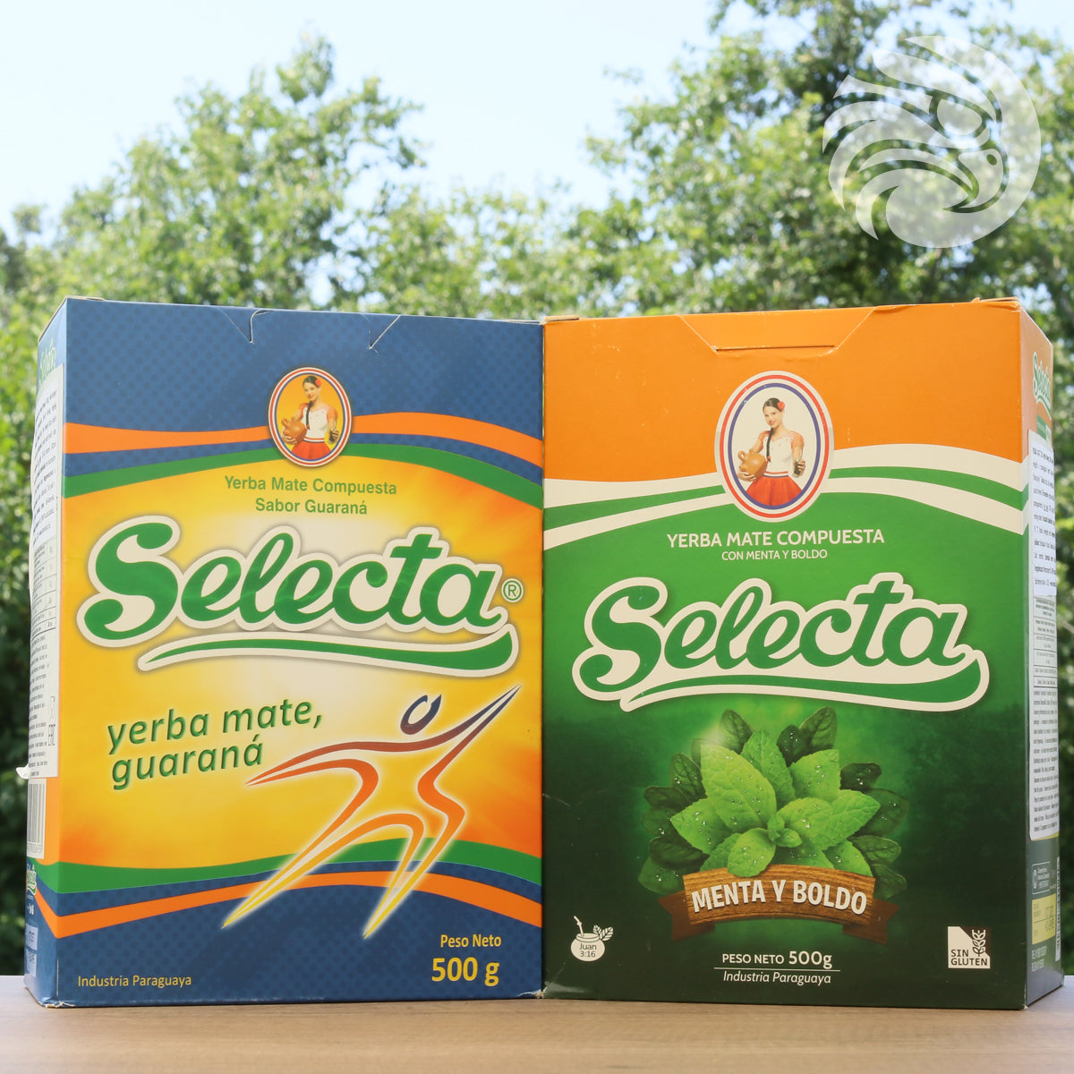 Selecta čaj yerba mate • energija, gvarana • 500 g